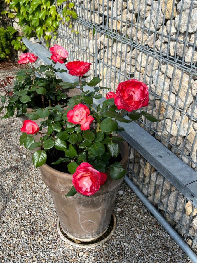 Aparthotel Parsberg Lferstl Eksteriør bilde